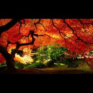 Meet your Posher, Mackenzie